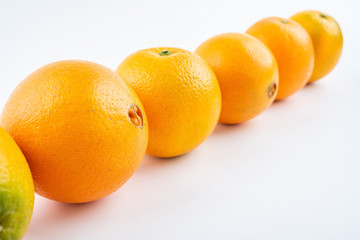 Row of fresh Gannan navel oranges on white background