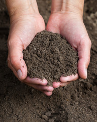 Hands holding black soil. Close-up.