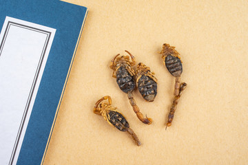 Traditional Chinese Medicine Concept Map / Chinese Medicine Scorpion