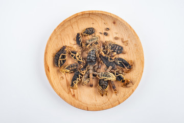 Chinese medicine medicinal scorpion on white background