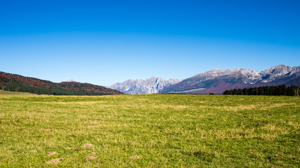 La piana del Cansiglio, altopiano circondato da un'antica foresta nelle prealpi venete