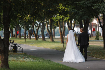 beautiful wedding couple walking in the park in sunny day.newlyweds in the summer in green park.  bride and groom holding hands outdoors in the garden.wedding day. Wedding Concept