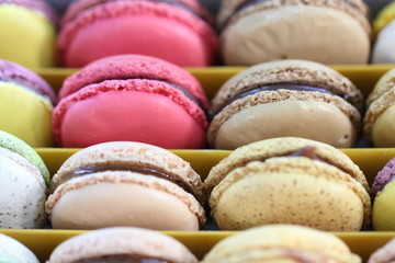 Sweet colourful macaron in box