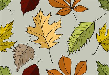Obraz premium Hand drawn vector seamless pattern with leaf. Decorative template texture with autumn leaf, background
