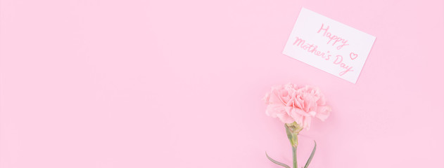 Beautiful, fresh elegant carnation flower bouquet with white greeting thanks gift card isolated on bright pink color background, top view, flat lay concept.