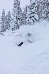 Freerider is buried in fresh snow, turning and jumping between the trees. freeride skiing in deep...