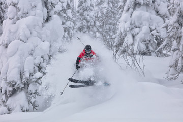 Freerider is buried in fresh snow, turning and jumping between the trees. freeride skiing in deep powder snow. Chest deep snow during snow storm. Good powder day. Funny skiing. Beautiful snowy forest