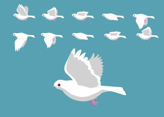 White Dove Flying Motion Animation Sequence Cartoon Vector Illustration