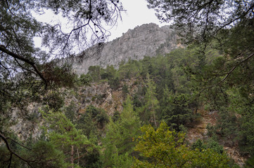 Mountainous area with beautiful views of nature and vegetation, trees and stones