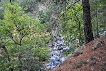 Mountainous area with beautiful views of nature and vegetation, trees and stones