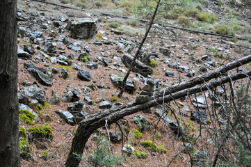 Mountainous area with beautiful views of nature and vegetation, trees and stones