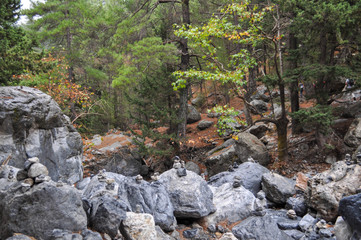 Mountainous area with beautiful views of nature and vegetation, trees and stones