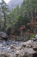 Mountainous area with beautiful views of nature and vegetation, trees and stones