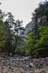 Mountainous area with beautiful views of nature and vegetation, trees and stones