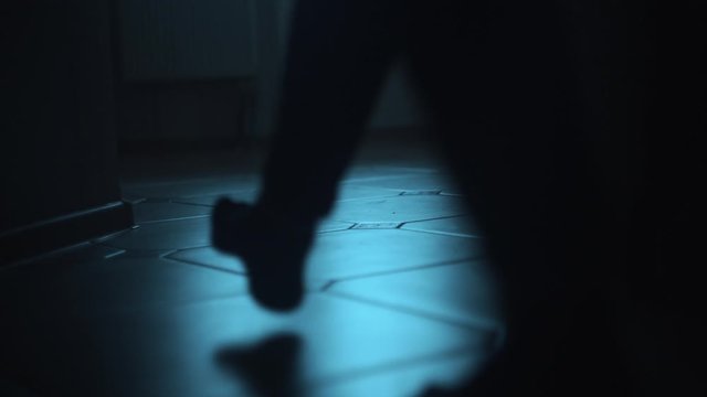 Bottom view of the silhouette of female legs passing in the corridor. The cat rubs against the corner of the wall. Girl touches a cat