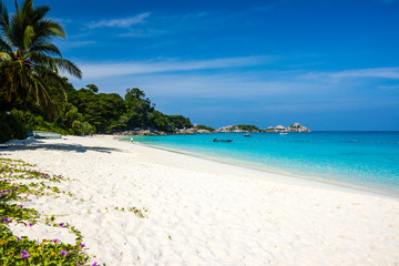 A beautiful tropical sandy beach and ocean on a small island (Similan Islands, Thailand)