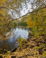 beautiful lake surrounded by autumn trees