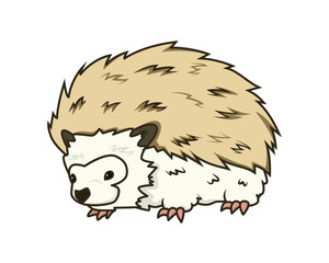 Detailed Cute and Sweet Hedgehog Illustration