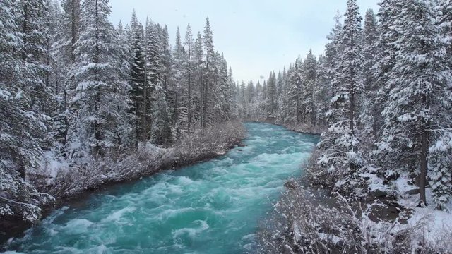 AERIAL: Whitewater rapids rush through the large coniferous forest on snowy day. Picturesque view of the emerald colored mountain river flowing through the American wilderness in the idyllic winter.