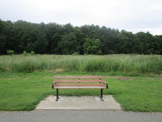 Obraz premium empty bench in the park