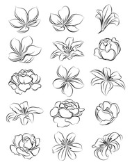 flowers hand drawing and sketch black and white