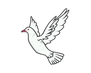 Detailed Flying White Pigeon Illustration