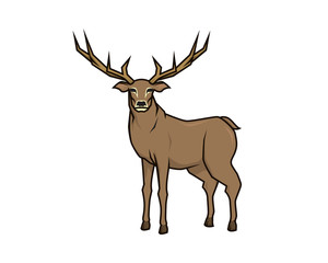 Detailed Deer with Standing Gesture Illustration