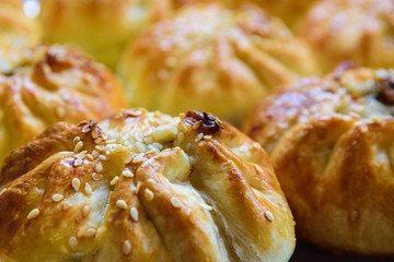 Traditional oriental meat pastries on a plate close-up. Bun with lamb.