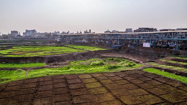 Indian people working on the fields along Bandra skywalk in Mumbai downtown, India time lapse