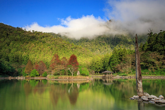 landscape with lake
