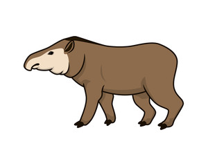Detailed Tapir with Standing Gesture Illustration