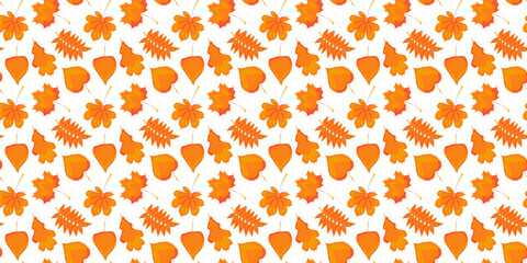 Seamless pattern of autumn yellow orange leaves of birch, chestnut, oak, linden, rowan and maple on a white background. Vector.