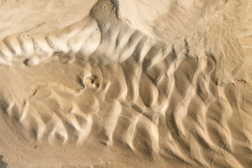 Beige sand textural background