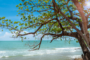 Beautiful landscape summer sea In the morning sunrise or evening sunset. Beautiful beach and tropical sea, Wave of the sea on the sand beach .and tree.