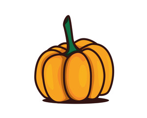Detailed Ripe Pumpkin Illustration Vector