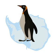 Penguin on white background vector map
