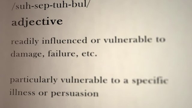 Susceptible Definition