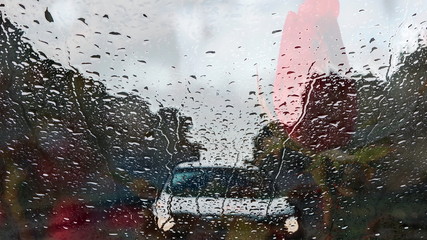 The mixed image of the view of the water on the glass and the view of the blooming Rose at the warm summer rainy day at the botanical garden. 