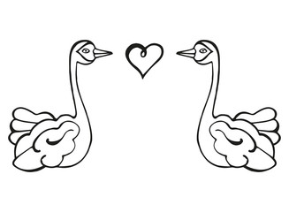 Black and white isolated illustration of two hand-drawn swans and heart. Isolated coloring page. Vector.