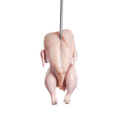 Raw chicken broiler on a metal hook. Isolated on a white background.