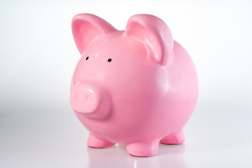 Piggy Bank on a White Background