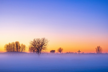 Misty sunrise in winter with tree silhouettes