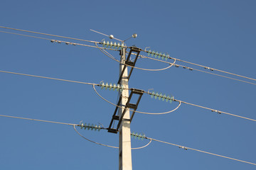 Pole Electricity