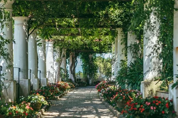 Wall murals Mediterranean Europe Beautiful floral passage with columns and plants overhead in garden in Anacapri, capri island, Italy
