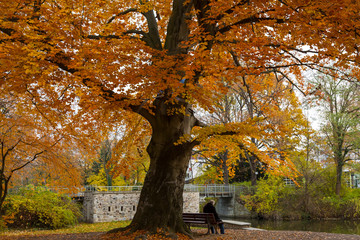 Obraz na płótnie Canvas Colorful park in autumn with al little pond
