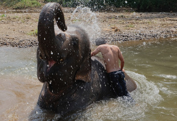 Asian handsome man and Elephant bathing and playing in a river in Pai Thailand.