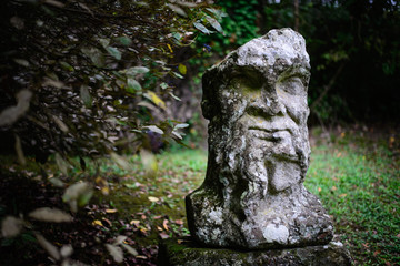 Volto di pietra in foresta abbandonata