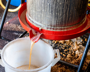 making apple juice with an apple press