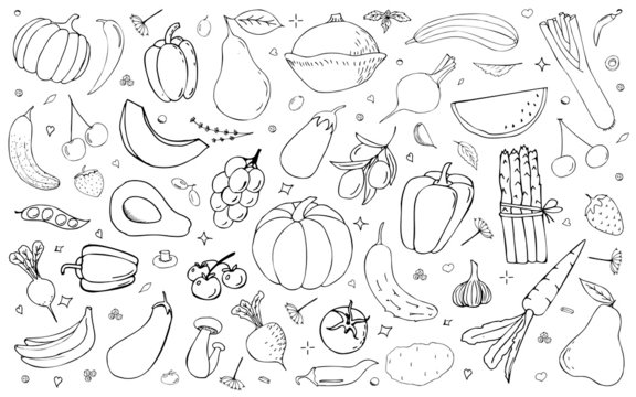 Vector  backdrop with vegetables, fruits and berries. Useful for packaging, menu design and interior decoration. Hand drawn doodles. Sketchy collection of elements.