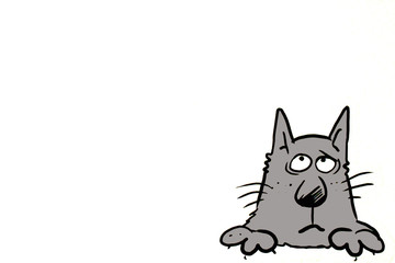 Illustration of a grey cat on a white background.